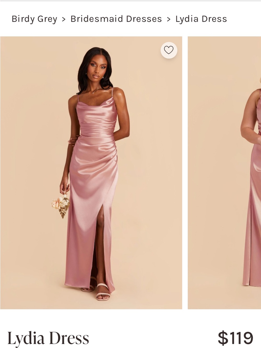 ✨ NWT Birdy Grey Lydia Shiny Dress - English Rose (Size S) ✨